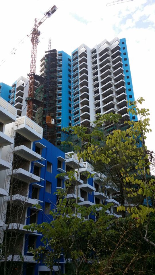 桂林漓江藍(lán)灣外墻涂料裝飾工程(55) - 廣西三象建筑安裝工程有限公司 www.dygangyou.com