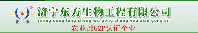 廣西三象建筑安裝工程有限公司 Banner